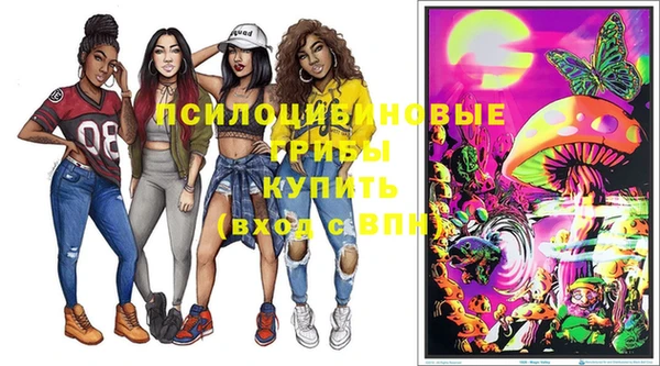 бошки Кинешма