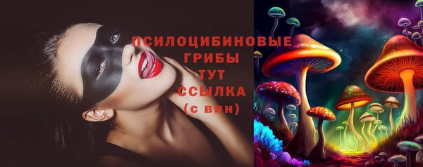 бошки Кинешма