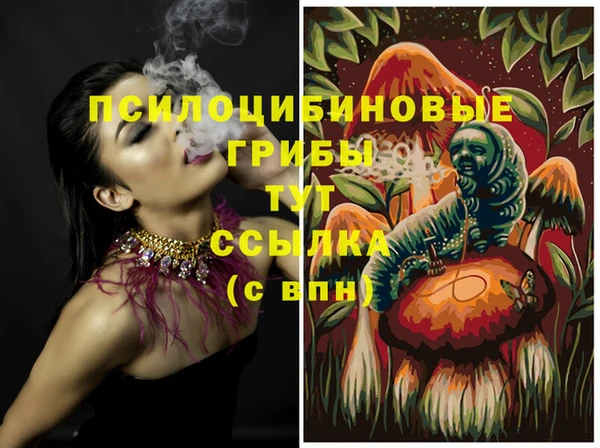 бошки Кинешма